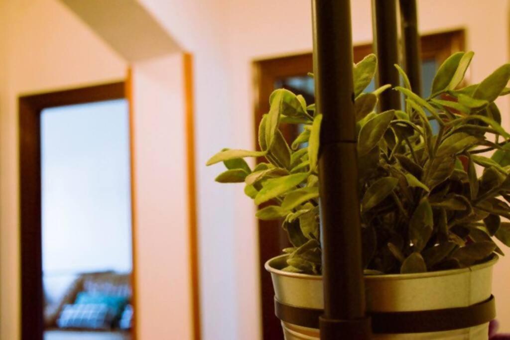 Apartamento Conide, El Mirador Oviedo Habitación foto