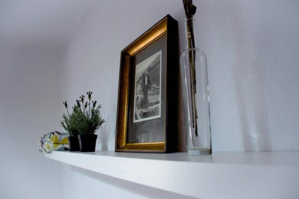 Apartamento Conide, El Mirador Oviedo Exterior foto